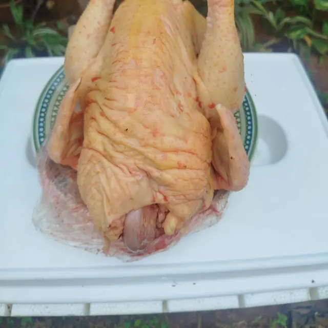 Galinha caipira