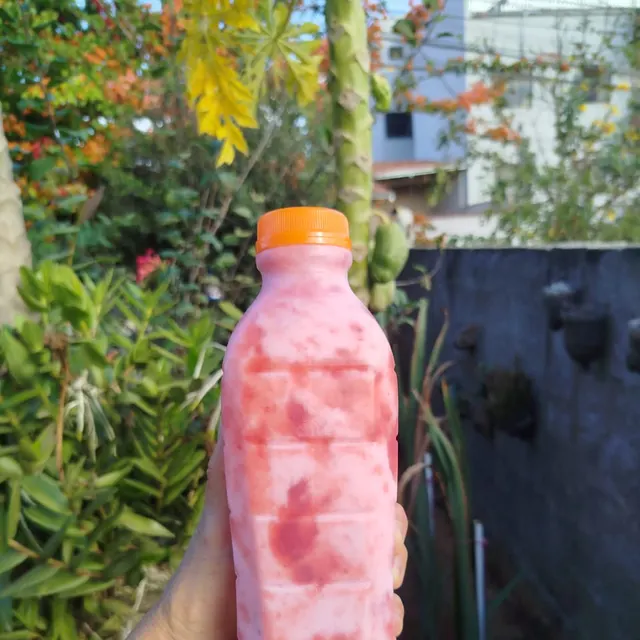 Morango 500ml