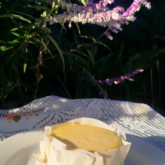 Queijo Coalho 500g