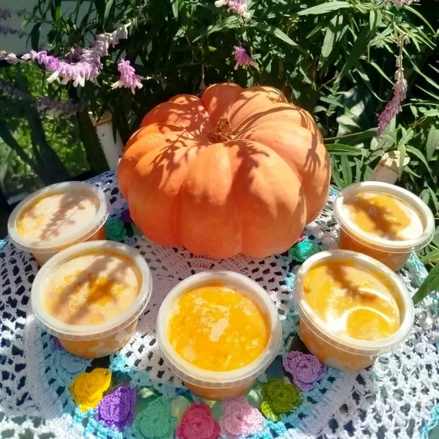 Doce de abóbora c/ coco 300ml